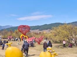 구례 화엄사 홍매화 개화 맞아 환경정화 활동 기사 이미지