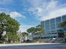 해남군, 행정안전부 적극행정 종합평가‘4년 연속 우수기관’쾌거  기사 이미지