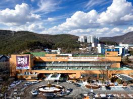 태백시, 시민 보행 안전 위한 도로 열선·가로등 설치…특별조정교부금 10억 원 투입 기사 이미지