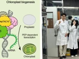 전남대 장규필 교수팀, 기후위기 작물 공식 깼다 기사 이미지