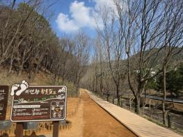 충북도 미동산수목원, 맨발 걷기 명소‘미선향 황톳길’ 4월 1일 운영 재개 기사 이미지