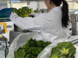 전남지역 유통 봄철 다소비 농산물 모두 ‘안전’ 기사 이미지