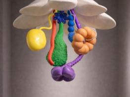 대구아트웨이 올해 첫 월간범어 'EDEN' 개최 기사 이미지