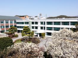 담양군, 대나무축제 최초 보고회 개최… 체류형 축제 조성에 총력 기사 이미지