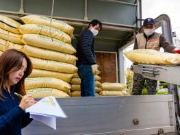 경북 육성 벼 신품종 우량 종자 보급, 쌀 산업 경쟁력 강화 기사 이미지