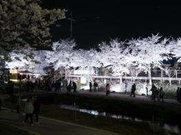 천안시, 4월 한 달간 ‘봄꽃향연’ 모바일 스탬프투어 운영 기사 이미지