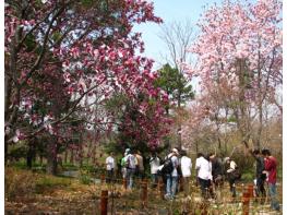 포항 기청산식물원, ‘꼭 가봐야 할 수목원 10선’ 3년 연속 선정 쾌거 기사 이미지