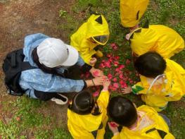 해운대구, ‘생태유아교육 시범어린이집’ 가동… “자연이 곧 교실” 기사 이미지