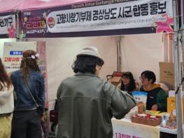 김해시, 진해군항제에서 고향사랑기부제 집중 홍보