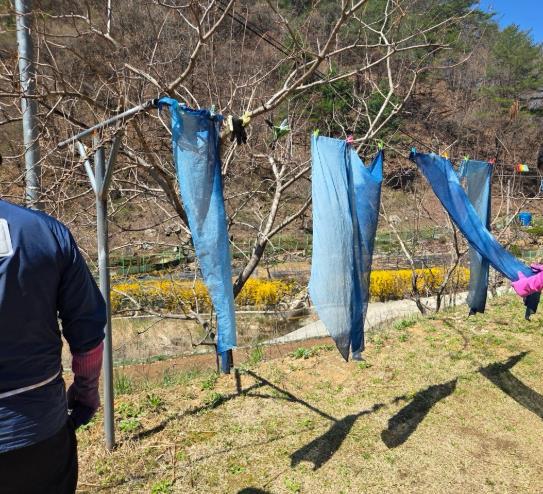 동해시, 치유농업 연계 치매가족 야외 치유프로그램 운영