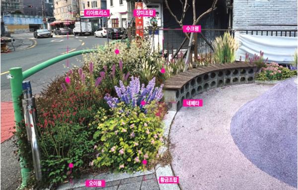 부산 중구, ‘정원속의 도시 부산’ 실현을 위한 생활 속 정원 조성 본격 추진 기사 이미지