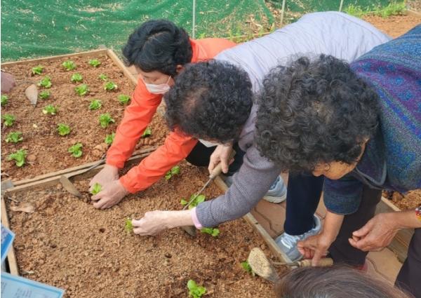 ‘텃밭에서 피어나는 치유’ 김제시 치매안심센터, 2026년 치유 프로그램 운영