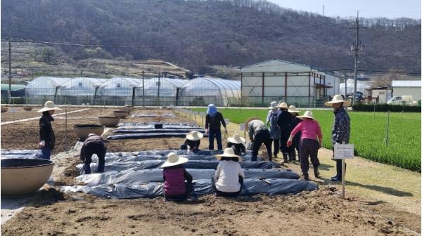 군위군보건소 치매안심센터, 『기억씨앗 치유농업 프로그램』 운영 기사 이미지