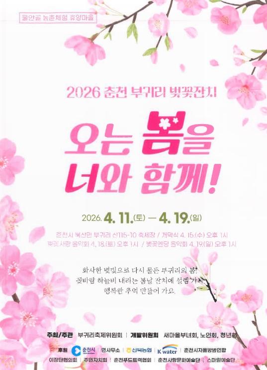 춘천 부귀리 봄 절정… 벚꽃잔치 11일부터 열려