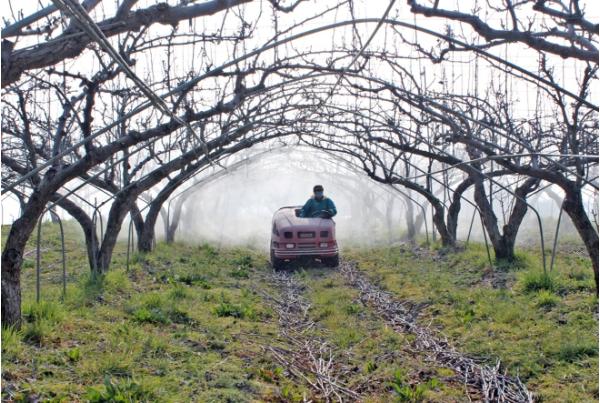정읍시, 과수화상병 유입 차단 ‘총력’…적기 방제·예방 예찰 당부