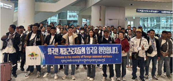 의성군, 공공형 계절근로자 본격 투입... 농가 인력난 해소 총력 기사 이미지