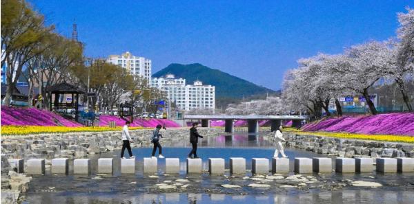 순창군, 2026년 공약이행평가 ‘3년연속 SA등급’ 역대 최고성과 기사 이미지