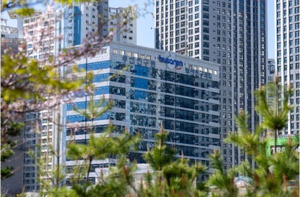 부산진구, 매니페스토 공약이행 평가 최우수 ‘SA등급’ 달성 기사 이미지