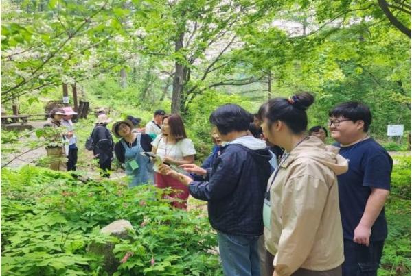 국립횡성숲체원 취약계층 대상 산림교육 프로그램 위탁운영 추진 기사 이미지