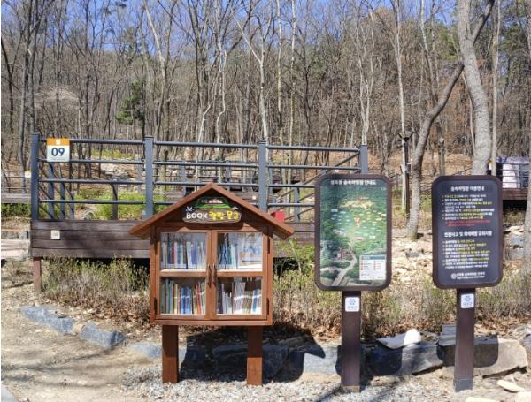대전 유성구, 캠핑장에서 즐기는 독서 'BOOK캠핑 문고' 운영 기사 이미지