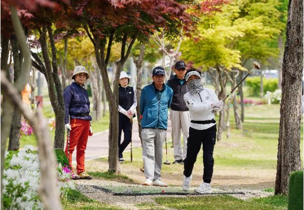 부부 금슬 개선 특효 파크골프, 화천 부부 파크골프 대회 개최 기사 이미지