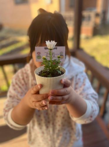 강화군자원봉사센터 한마음 가족 봉사단, 반려 식물 제작 및 나눔 기사 이미지