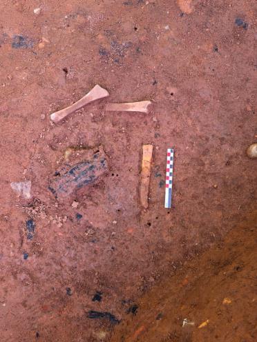 '고성 만림산 토성 발굴조사 자문위원회' 개최 기사 이미지