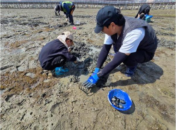 고성군, 갯벌·둠벙 생태관광 프로그램 운영 기사 이미지