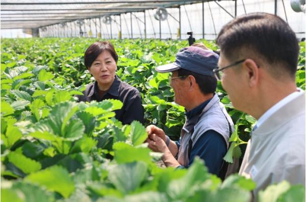 농림축산식품부, 면세유 이용 현장 및 시설채소 생육동향 점검