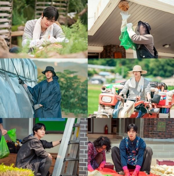 [SBS 오늘도 매진했습니다] 안효섭, ＂경운기 운전 재밌어, 내 차라고 생각하고 임했다＂ 좌충우돌 전원일기 공개! 기사 이미지