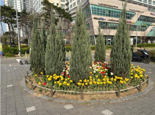 연수구시설안전관리공단, 도심 녹지에 ‘봄의 활력’ 더하는 경관 명소 조성