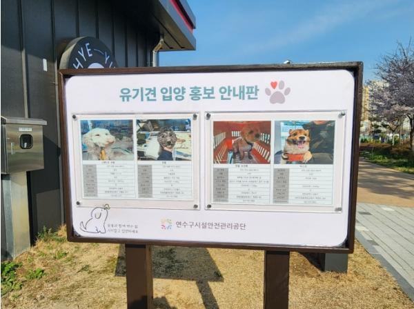 연수구시설안전관리공단, 유기견 입양 활성화로 올바른 반려문화 선도