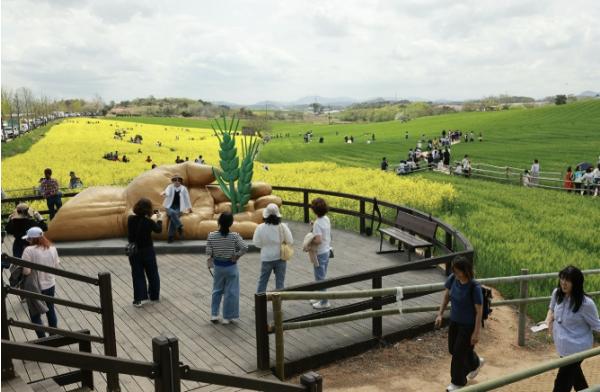 '봄의 기억, 길 위에 남다' 제23회 고창 청보리밭축제, 이번주 토요일(18일) 개막  기사 이미지