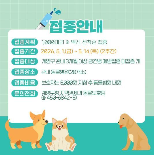 계양구, 2026년 춘계 광견병 예방접종 실시 기사 이미지