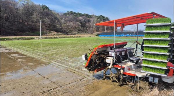 보령 농업의 미래 ‘2세대 빠르미’ 첫 모내기 실시 기사 이미지