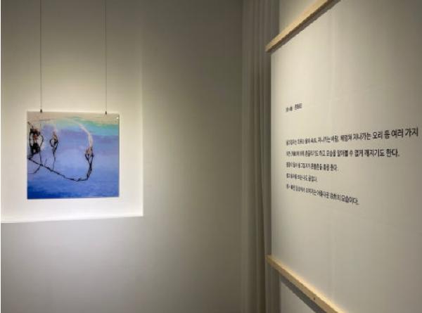 김천시립미술관, 정대철 작가 초대전 ‘인(因) + 연(緣)’개최