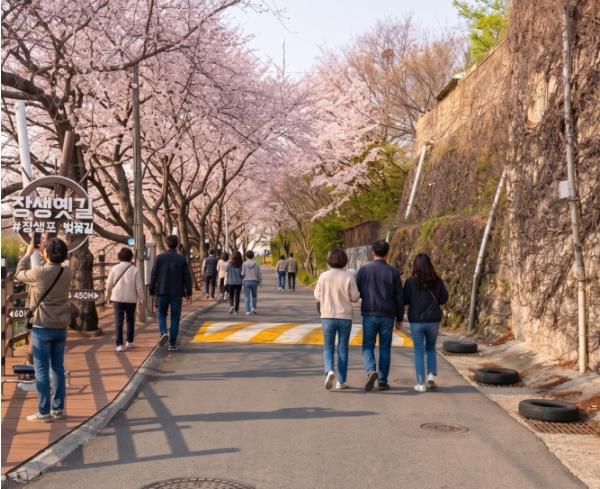 남구, 2026 벚꽃 개화시즌 ‘장생옛길’ 방문객 70%가 외지인 기사 이미지
