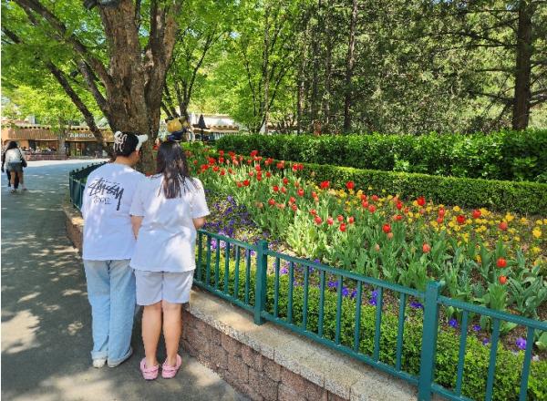 성주교육지원청, 2026 특수교육대상학생 가족지원프로그램 운영 기사 이미지