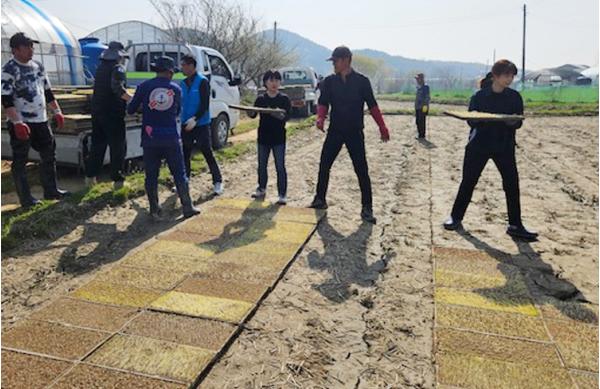 옹진군 ‘볍씨파종기 현장기술지원’ 나선다 기사 이미지