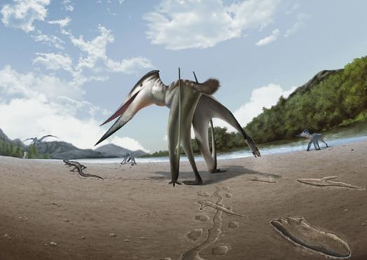 국립대구과학관 “1억 년 전 익룡의 육상 사냥 흔적 세계 최초 발견”경남 진주 발자국 화석이 남긴 단서 기사 이미지