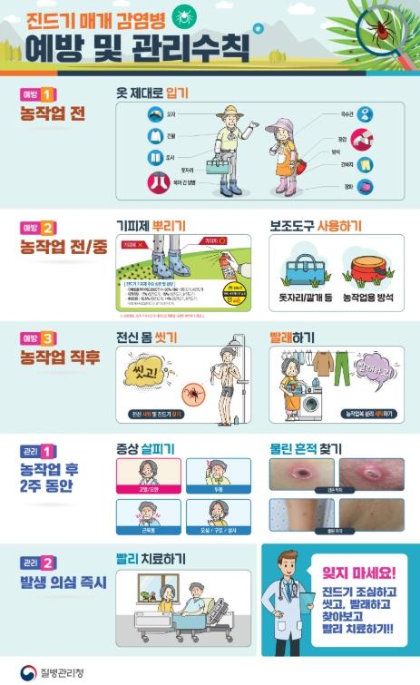 태백시, 봄철 ‘진드기 매개 감염병’예방 수칙 준수 당부 기사 이미지