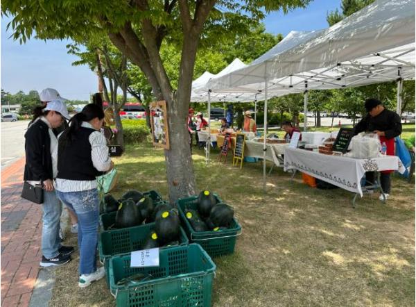고창군, 운곡람사르습지 ‘오베이골 마을장터’ 오늘(24일) 개장 기사 이미지