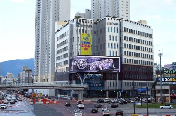 광주광역시 남구, 숲길 산책하며 ‘오디오북’ 듣는다 기사 이미지