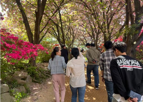 전주시 완산공원 꽃동산, 도심 속 봄 풍경 완성 기사 이미지
