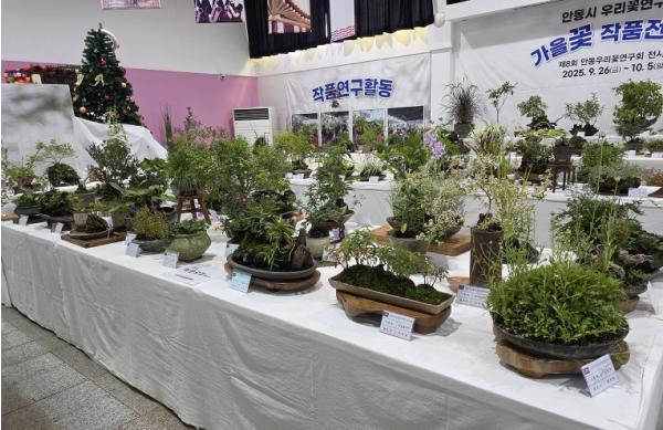 '제9회 안동시우리꽃연구회 우리꽃 전시회' 개최 기사 이미지