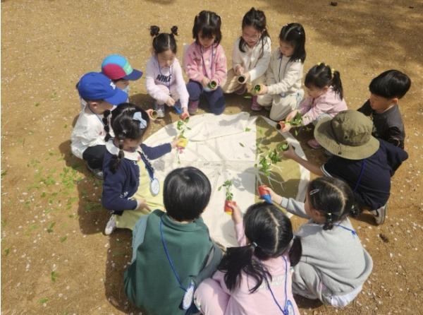 숲속이 배움터가 된다...마포구, 유아숲 체험 프로그램 운영 기사 이미지