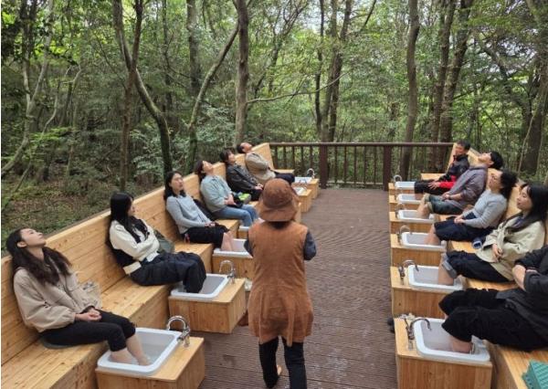 서귀포시, 공직자 마음건강을 위한 ‘치유의 숲’ 운영 기사 이미지