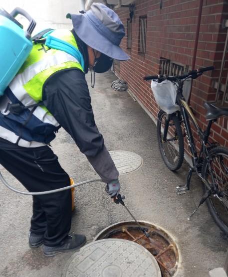 광진구, 더 빨라진 해충 출몰...‘여름철 방역 총력 대응’나선다