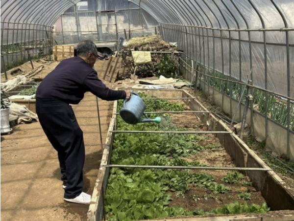 단양군 매포읍 영천리 경로당, 신선 먹거리로 따뜻한 공동체 실현 기사 이미지