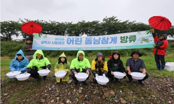 삼척시, 수산자원센터 어린 동남참게 5만 마리 오십천 하구 방류